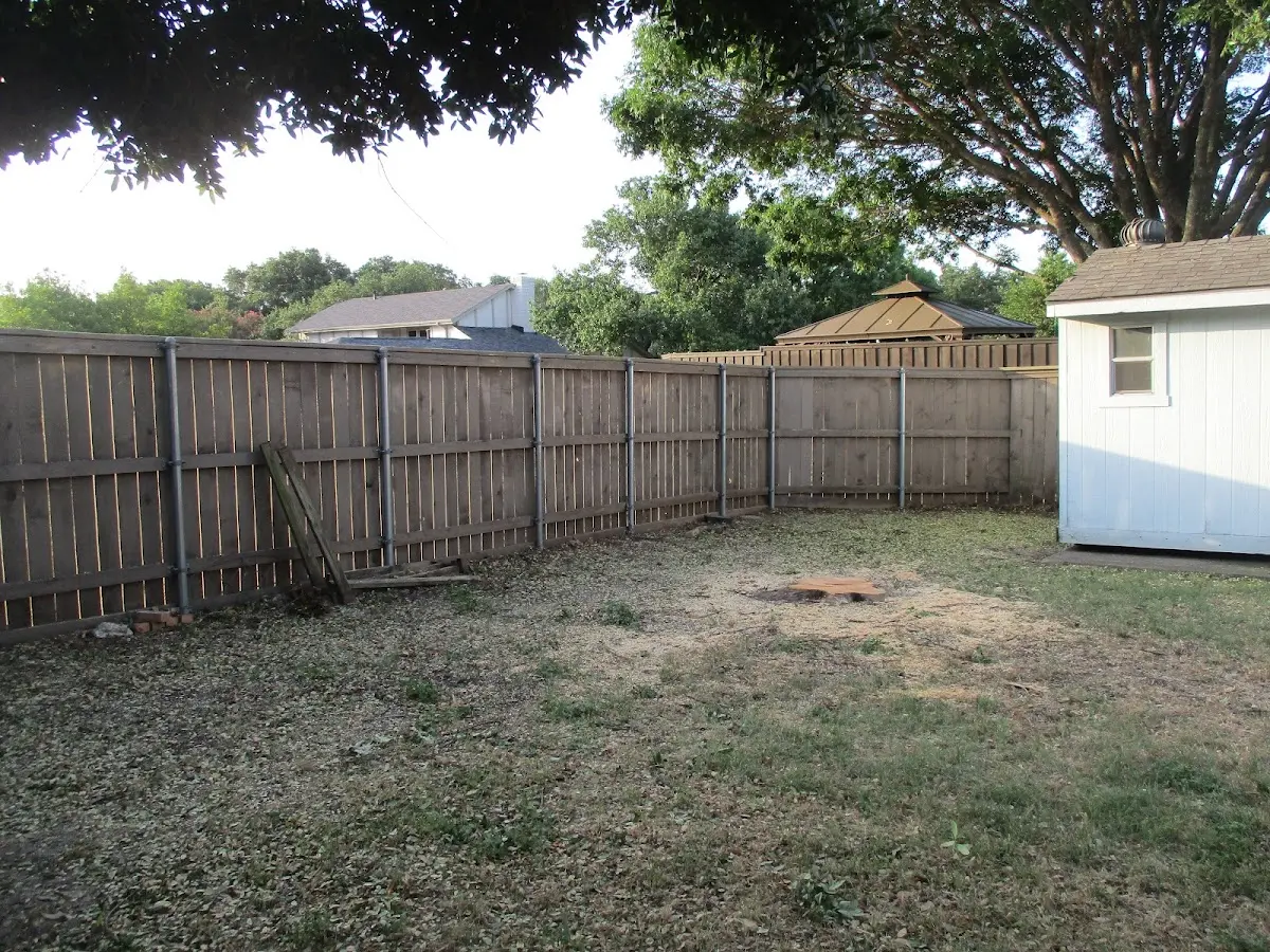 Cleared yard after professional tree removal in Wallingford